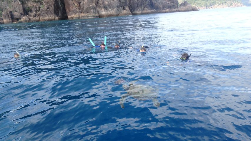 spgm/gal/Australien_(30.12.15-19.1.16)/20160117_080831.jpg