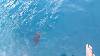 spgm/gal/Australien_(30.12.15-19.1.16)/_thb_20160117_064803.jpg