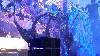 spgm/gal/Defqon1_2016_(25.6.16)/_thb_20160625_223739.jpg