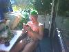 spgm/gal/Sommer_2004/_thb_0448.jpg
